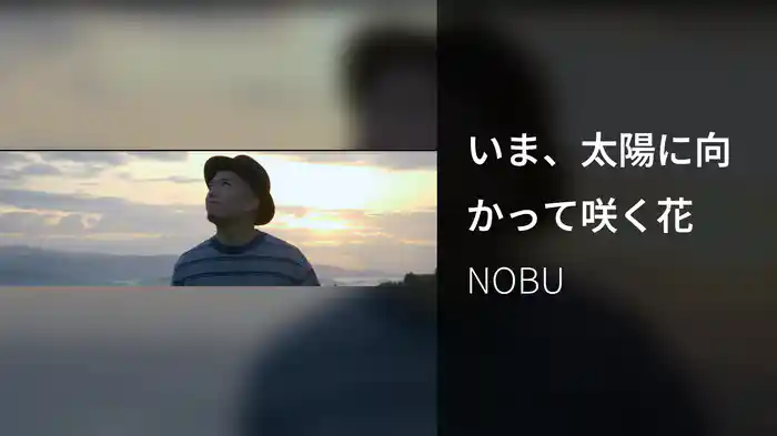 いま、太陽に向かって咲く花