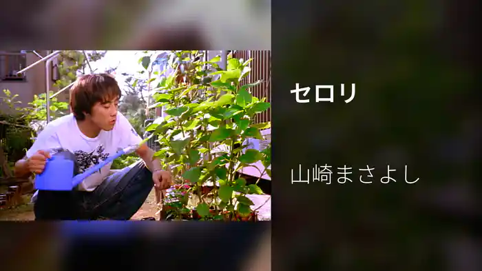 セロリ