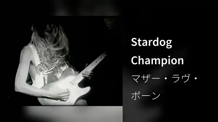 Stardog Champion