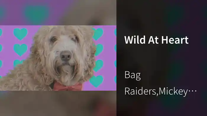 Wild At Heart