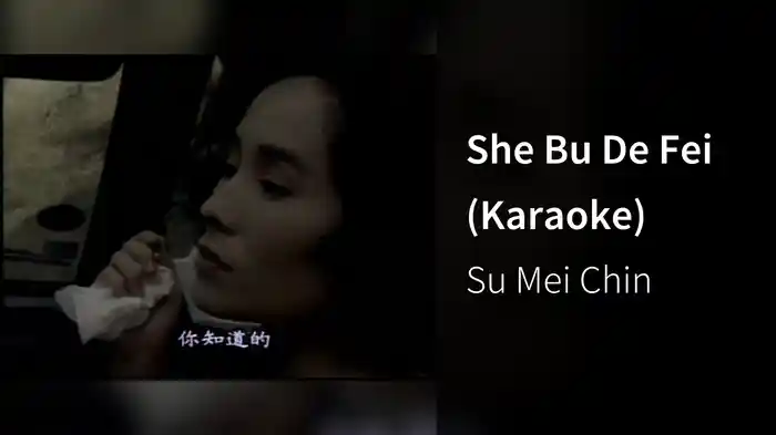 She Bu De Fei (Karaoke)