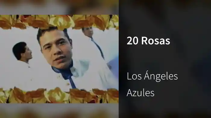20 Rosas