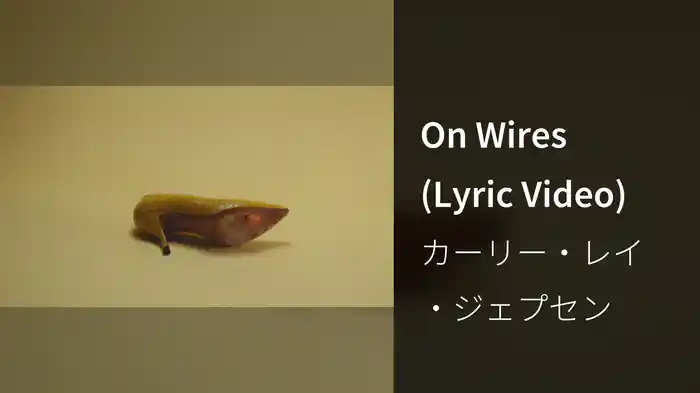 On Wires (Lyric Video)