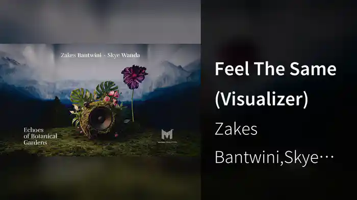 Feel The Same (Visualizer)