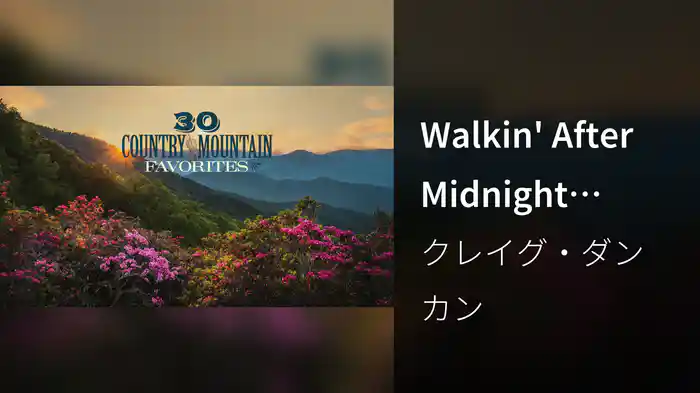 Walkin' After Midnight (Visualizer)