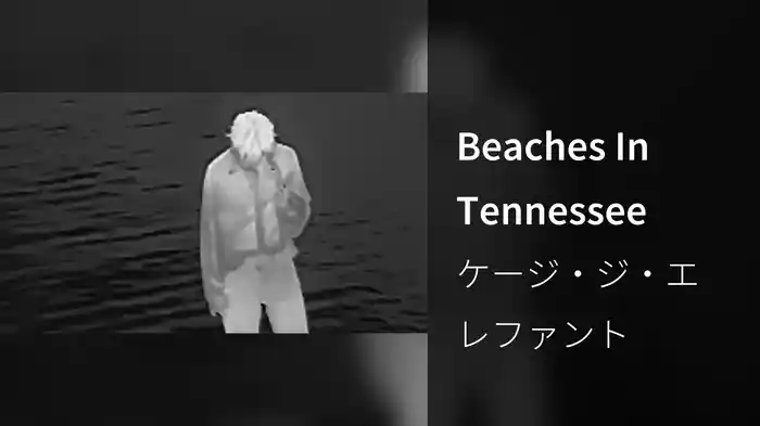 Beaches In Tennessee