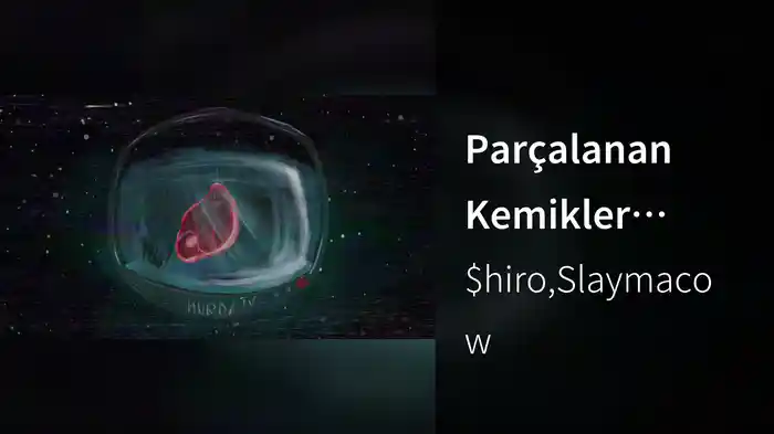 Parçalanan Kemikler (Visualiser)