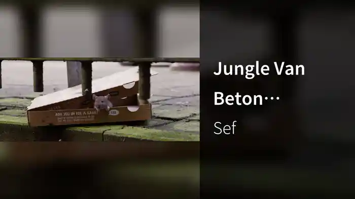 Jungle Van Beton (Titelsong "De Wilde Stad")