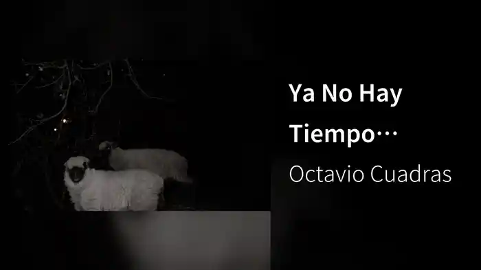 Ya No Hay Tiempo (Visualizer)
