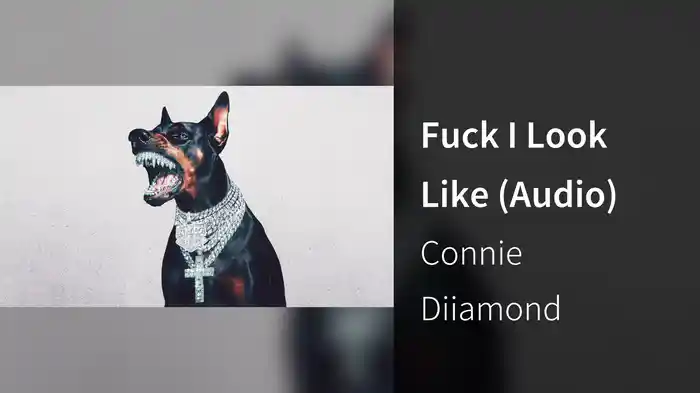 Fuck I Look Like (Audio)