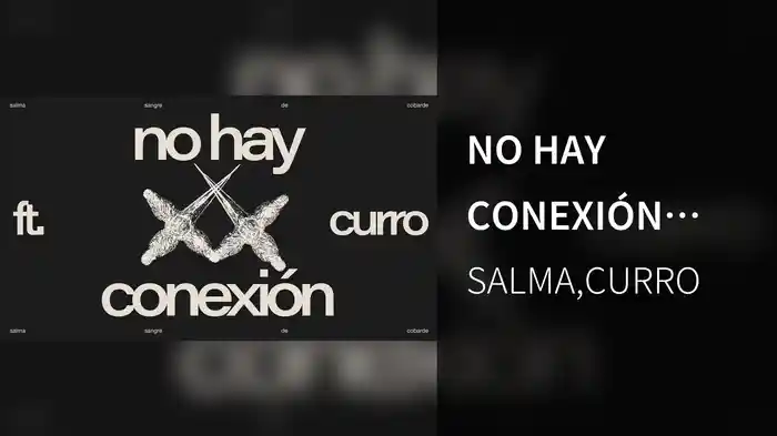 NO HAY CONEXIÓN (Visualizer)
