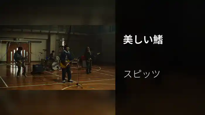 美しい鰭