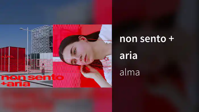non sento + aria (Lyric Video)