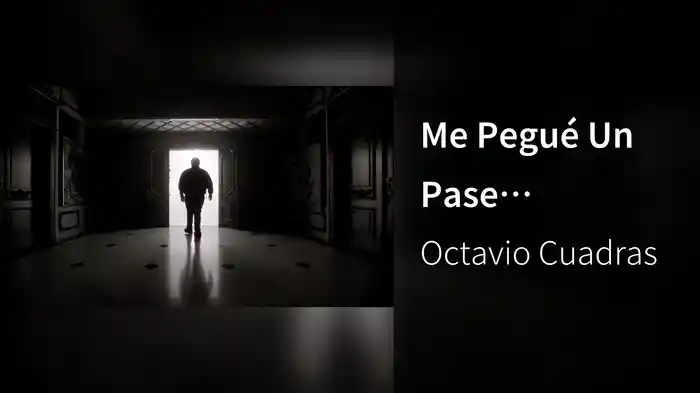 Me Pegué Un Pase (Visualizer)