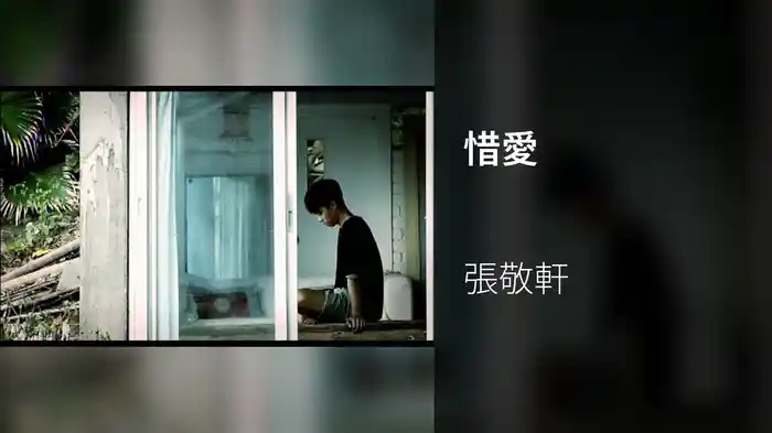 惜愛