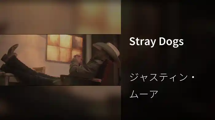 Stray Dogs