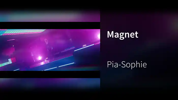 Magnet