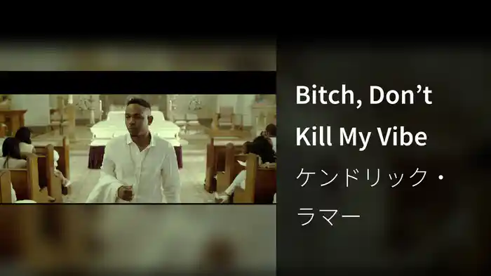 Bitch, Don’t Kill My Vibe
