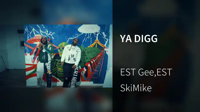YA DIGG
