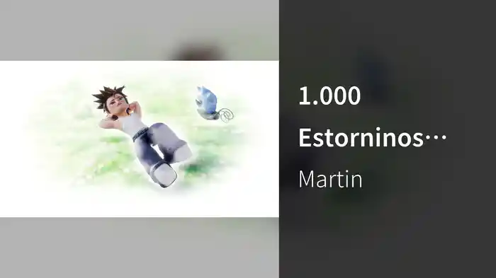 1.000 Estorninos (Lyric Video)