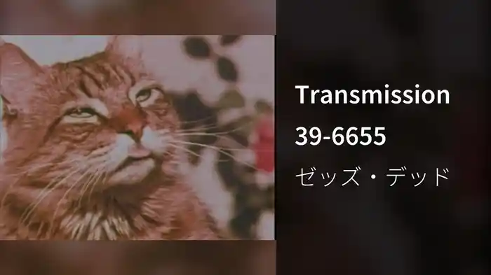 Transmission 39-6655