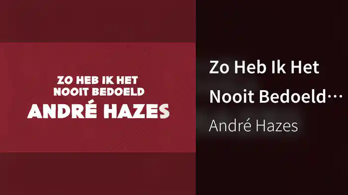Zo Heb Ik Het Nooit Bedoeld (Lyric Video)
