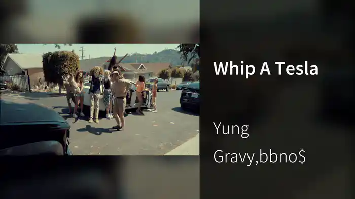 Whip A Tesla