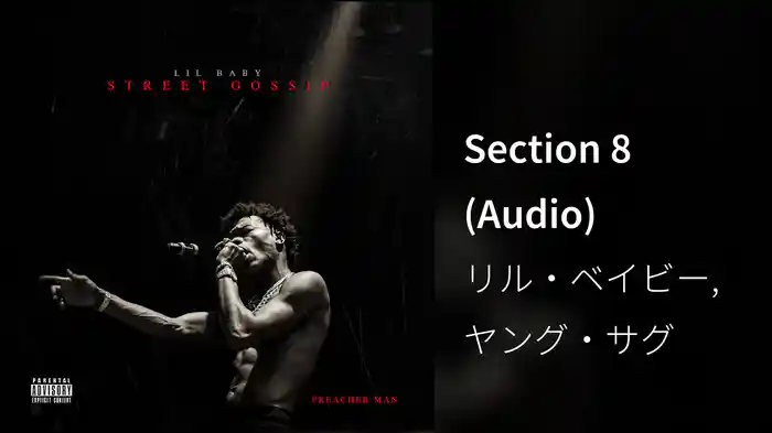 Section 8 (Audio)