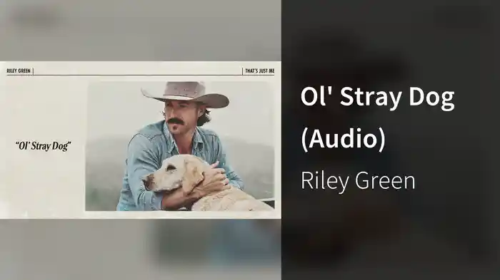 Ol' Stray Dog (Audio)