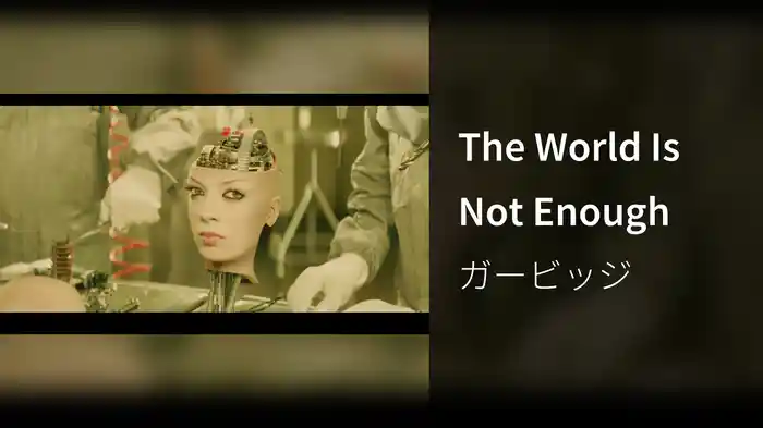 The World Is Not Enough
