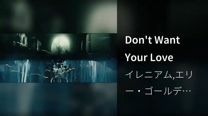 Don't Want Your Love