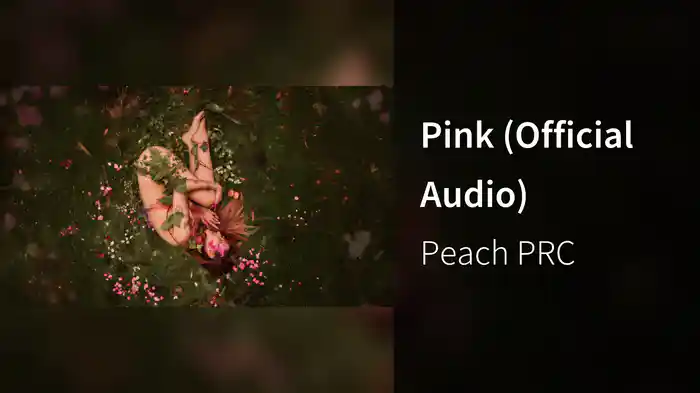 Pink (Official Audio)