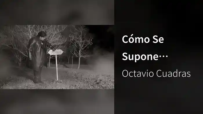 Cómo Se Supone (Visualizer)