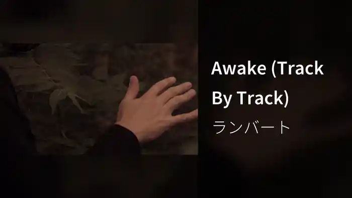 Awake (Track By Track)