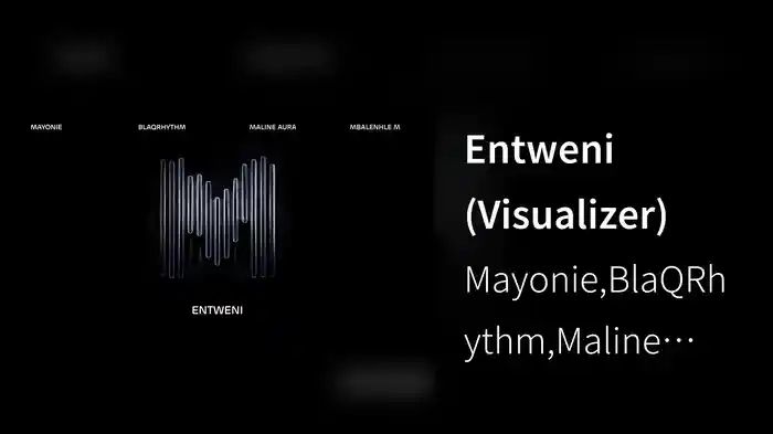 Entweni (Visualizer)