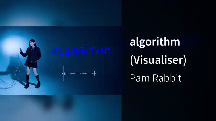 algorithm (Visualiser)