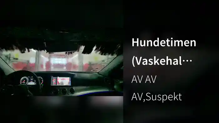 Hundetimen (Vaskehal Remix / Lyric Video)