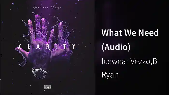 What We Need (Audio)