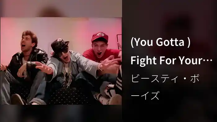 (You Gotta ) Fight For Your Right (To Party)