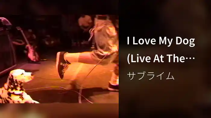 I Love My Dog (Live At The Palace, 1995)