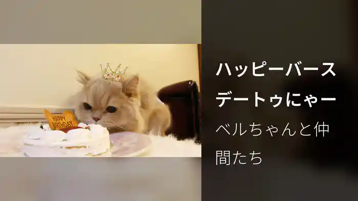 ハッピーバースデートゥにゃー
