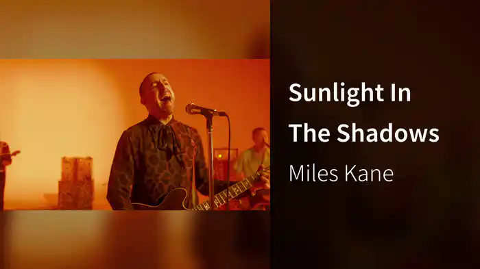 Sunlight In The Shadows