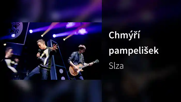 Chmýří pampelišek