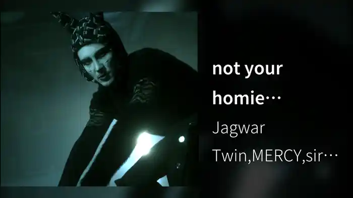 not your homie (Visualizer)