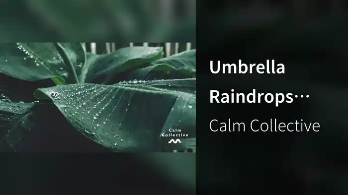 Umbrella Raindrops (Visualiser)