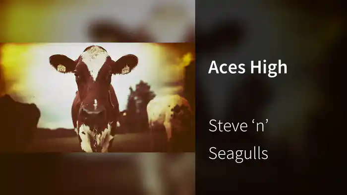 Aces High