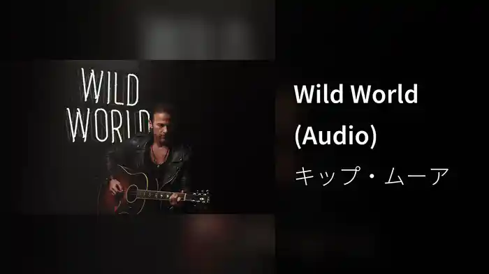 Wild World (Audio)