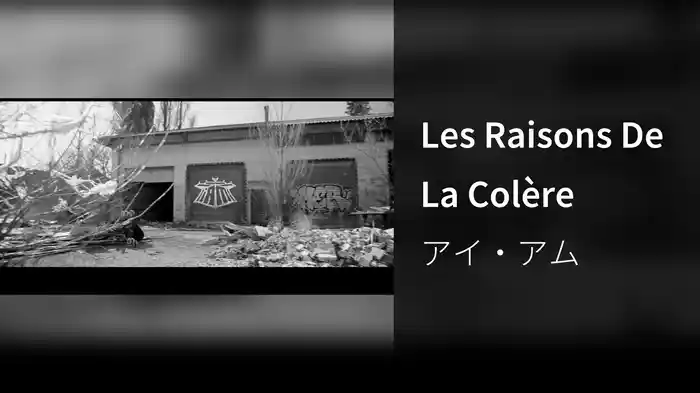 Les Raisons De La Colère