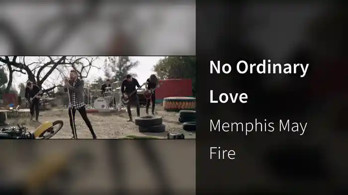 No Ordinary Love