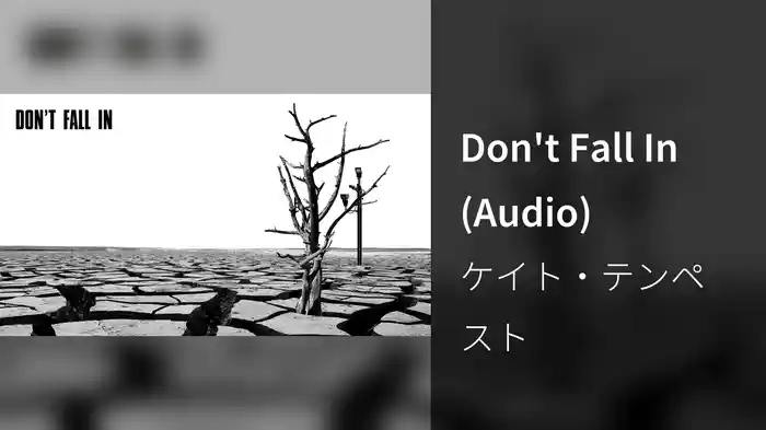 Don't Fall In (Audio)